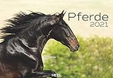 Pferde 2021: Der sympathische Pferde-Kalender mit den charmanten Namen