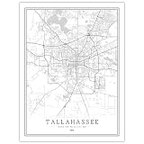 CUNNVN Weiß TALLAHASSEE 3d Drucken Stadtplan Geeignet für Wohnzimmer, Schlafzimmer, Kinderzimmer, Schule, Wohnheim-Wanddekorationsmalerei 40x50