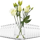 15x Mini Vasen aus Glas Dekoflasche 9cm Vase Set Väschen kleine Blumenvase Tischvase Blumenväschen