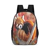 Red Panda Tier Rucksäcke Design Schulrucksäcke für Männer Frauen Büchertaschen Business Taschen Geschenke, Hellgrau., Einheitsgröße