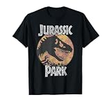 Jurassic Park Retro-Rex in Blau und Orange T-S