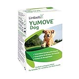 Lintbells | YuMOVE ausgewachsener Hund | Hüft- und Gelenkergänzung für steife ausgewachsene Hunde, mit Glucosamin, Chondroitin, Grünlippmuschel | 6 bis 8 Jahre | 60 Tabletten
