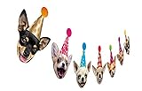Chihuahua-Hunde-Geburtstagsgirlande, lustige Chichi-Porträt-Party-Dekoration, Hundegesichts-Wimpelkette