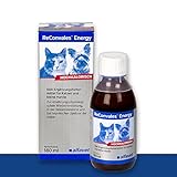 ReConvalesEnergy - Diät-Ergänzungsfuttermittel für Katzen und kleine Hunde Zur ernährungsphysiologischen Wiederherstellung, 180 ml Hochkalorisch