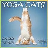 Yoga Cats 12 MONTH CALENDAR 2022: 8.5 x 8.5 Inch Monthly Square Calendar, Animals Humor Cat