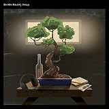 Bonsai B