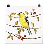 Bilderwelten Poster Vögel und Beeren - Goldzeisig Quadrat, Selbstklebend seidenmatt 30 x 30cm