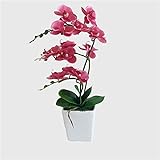 YWAWJ LHY DEKORATIONKunstBlume Orchidee Gefälschte Keramik Vase Pflanze Tisch Topfinnen Bonsai-Silk Blumen-Set, Rosered, Farbe: Lila (Color : Rosered)