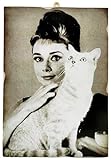KUSTOM ART Wandbild Serie Schauspieler Prominente Audrey Hepburn Katze Druck auf Holz 25 x 18 cm