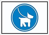 Hunde bitte anleinen Symbol Aufkleber innenklebend A5 (148x210mm)