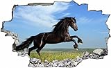 DesFoli Pferd Horse 3D Look Wandtattoo 70 x 115 cm Wanddurchbruch Wandbild Sticker Aufkleber C472
