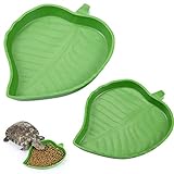 2 Stück Blatt Reptilienschale Lebensmittel Wasser Bowl Platte Schale für Schildkröte Corn Schlange Kriechen Haustier Trinken und Essen, 2 Größen