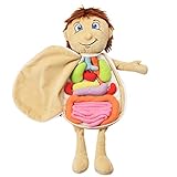 Modell Anatomie Puppe 3D Anatomie Spielzeug Puppe Menschlicher Körper Organ Puppe Pädagogisches Stofftier Spielzeug Whats Inside Me Lernpuppe Modell für Zuhause Vorschule Als Lehrhilfe fürBaby Kinder