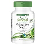 Grüner Tee Kapseln - Green Tea - mit Koffein, Polyphenole & EGCG - HOCHDOSIERT - VEGAN - 100 Kapseln - Camellia sinensis