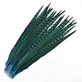 YTETDE 40–45 cm 16–18 Zoll farbige Fasanenfedern zum Basteln, Lange große Federdekor, Karnevalszubehör, Dekoration, Seeblau, 30 Stück