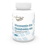 Vita World Glucosamin 500mg Chondroitin 400mg 100 Kapseln Apotheken Herstellung