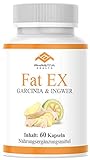 Fat EX | KETOSE EXTREME BURNER | Hochdosiert | Ingwer & Garcinia Cambogia | Stoffwechsel | Keto Schnell & Einfach | 60 Kapseln