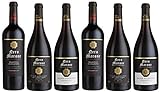 Nero Marone - Italien Probierpaket - 6 Flaschen Rotwein aus Italien - Primitivo Di Salento, Edizione Privata, Salice Salentino (6 x 0,75 l)