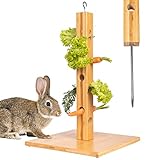 ONVAYA® Kaninchen Futterbaum | 3 in 1 für drinnen & draußen | Bodenspieß zur Befestigung | wetterfest | Futterbaum für Kaninchen