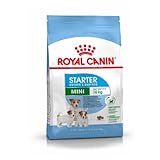 ROYAL CANIN Hundefutter Mini Starter 3 kg, 1er Pack (1 x 3 kg)