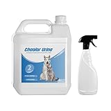 RC ocio Enzymatisches Reinigungsmittel beseitigt Hunde-/Katzenurin | Geruch entferner | Enzyme Spray gegen Hunde-/Katzenurin-Geruch | Geruchsneutralisierer für Stoffe, Möbel, Teppiche, Wände. 5L