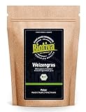 Weizengras Bio 500g | Weizengrasspulver | Junges feines Weizengrass-Pulver | Abgefüllt in Deutschland | Feinster Geschmack | Biotiva
