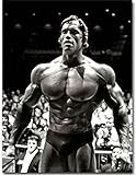 Moderne Leinwand Malerei Arnold Schwarzenegger Bodybuilding Plakate Motivierende Kunst Fitness Inspiration Wandkunst Bild - Kein Rahmen