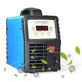 Ozongenerator 10000 mg/h, FELLAT Industrieller Ozongenerator Luftreiniger, Tragbar O3 Luftreiniger Ionisator Geruchskiller mit Timer für Zimmer Garagen Bauernhöfe H