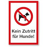 Komma Security Kein Zutritt Hunde Hunde Kunststoff Schild - draußen bleiben Hinweisschild Türschild Verbotsschild - Hundeverbot Verbot Hunde - Restaurants Läden Geschäfte Büros