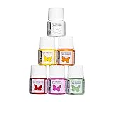 Panduro Frühlingsfarbe Spring Paint Set 6 x 20 ml wasserfeste Farbe für draußen, zum Bemalen von Holz, Steinen, Metall, Beton, Leder - Outdoor Farbe zum Basteln