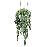 Briful Künstliche Pflanzen Hängepflanze Senecio Hänger Sukkulenten Künstlich Wanddeko Kunstblumen Kunstpflanzen, Höhe 35.5 cm, in Hängeampel