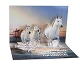 KE 3D Pop Up Karte - Geburtstags-Karte für Pferdefans - Pferde am Strand - 3D Gruß-Karte - Glückwunsch Klapp-Karte mit Glitzer-Elementen - DIN B6