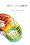 Thinking in Systems: International B
