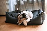 Lebon - Komfort Hundebett Lilly | 100x75cm | 6 Maschinenwaschbar | Made IN EU (Stone)