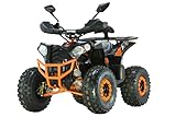 RV-Parts Kinderquad XXL Elektro Quad Miniquad ATV 1200 Watt 48V 12 PS Tacho Achsmotor 7 Zoll