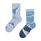 Dedoles Socken Kinder Mädchen Jungen Baumwolle viele lustige Designs Weihnachtssocken 1 Paar, Farbe Blau, Motiv Grauer Hai, Gr. 31-34