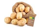 V2 FOODS Erntefrische Bio Kartoffeln, Sorte: Princess (festkochend) 2X 5KG Sack, intensiv gelbfleischig kräftiger Geschmack, sehr Gute Lagerfähigkeit, Deutscher Erzeugerrecht (10Kg)