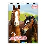 Trötsch Classickalender Pferde 2022: Wandkalender