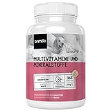 Animigo Multi Vitamine für Hunde - 20 Vitamine & Mineralstoffe - 365 Tabletten mit Vitamin B Komplex, Magnesium, Kalzium & Zink - Hunde Vitamine für Immunsystem & Beweglichkeit - Natürliche Zutaten