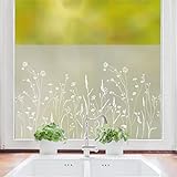 Sichtschutzfolie mit Einer Wilden Blumenwiese, Fensterfolie Fensterdeko Milchglasfolie, 55 cm hoch, 50 cm breit