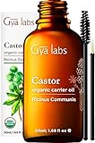 Gya Labs Bio-Rizinusöl für Haarwachstum, Augenbrauen und Wimpern – Steigern Sie das Wachstum von Haar, Wimpern und Brauen – 100 reines, natürliches, kaltgepresstes und Hexanfreies Trägeröl – 50 ml