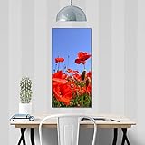 banjado® Glas Bild 50x100cm mit Motiv Mohnblumen als Wandbild für Wohnzimmer/Küche/Büro - Wohnzimmer Bild aus ESG Sicherheitsglas kratzfest mit geschliffenen Kanten - Glasbild groß als Wand Bild