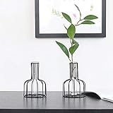 IHONYI Vase aus Eisen,Schwarzer Blumenvase, Reagenzglasvase Für Hydroponikanlage,Klein Modern als Tischdeko Deko Dekoration Geschenk Gestell Natur Tischvase