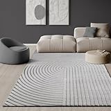 the carpet Knight Luxuriöser Wohnzimmerteppich mit Soft-Touch-Kurzflor, 3-D Effekt und Raffinierten Glanzdetails in Hoch-Tief Struktur, Grau, 120 x 170