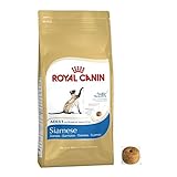 Royal Canin Siamese Trockenfutter für ausgewachsene Katzen, 10 kg