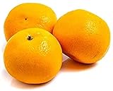 20 Stück Mandarine Samen Frischer Aroma Fruchtsamen Für Indoor Garten Balkon Pflanzung Mehrjährige Orangenbaum Gartenarbeit Strauch Dekorieren