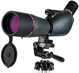 Fernglas Teleskop 20-60X60 HD mit Stativ und Adapter für Smartphone und wasserdichte Tragetasche 45 Grad Winkel Bak4 Prism Fmc Lens für Target Bird Watch, Grün (Grün)