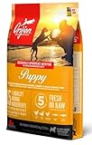 | Orijen Puppy Hundefutter für Welpen und Junghunde (bis zu 52 Wochen) mittelgroßer und kleiner R