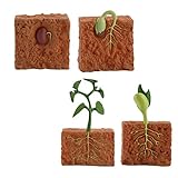 Toddmomy 1 Set Lebenszyklus von grünen Bohnen Pflanzenwachstumsstufe Modell pädagogisches Spielzeug Lernspielzeug Pflanze Lebenszyklus für Kinder