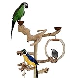 Kletterbaum für Vögel Papageien Freisitz Kaffeeholz Java Tree Freiflug Landeplatz Papageienspielzeug 1,60